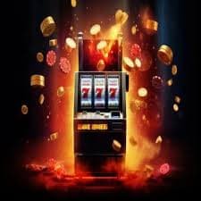 88855bet